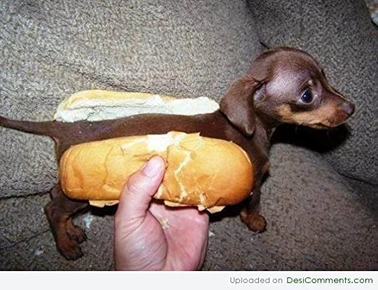 White Bread1